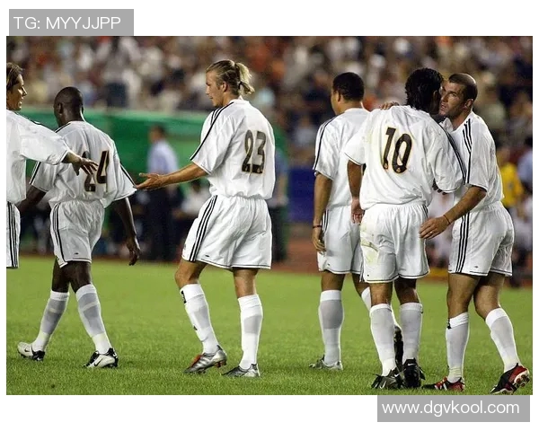 叶塘足球明星阵容揭晓球迷热议新赛季期待与梦想