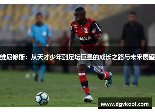 维尼修斯：从天才少年到足坛巨星的成长之路与未来展望